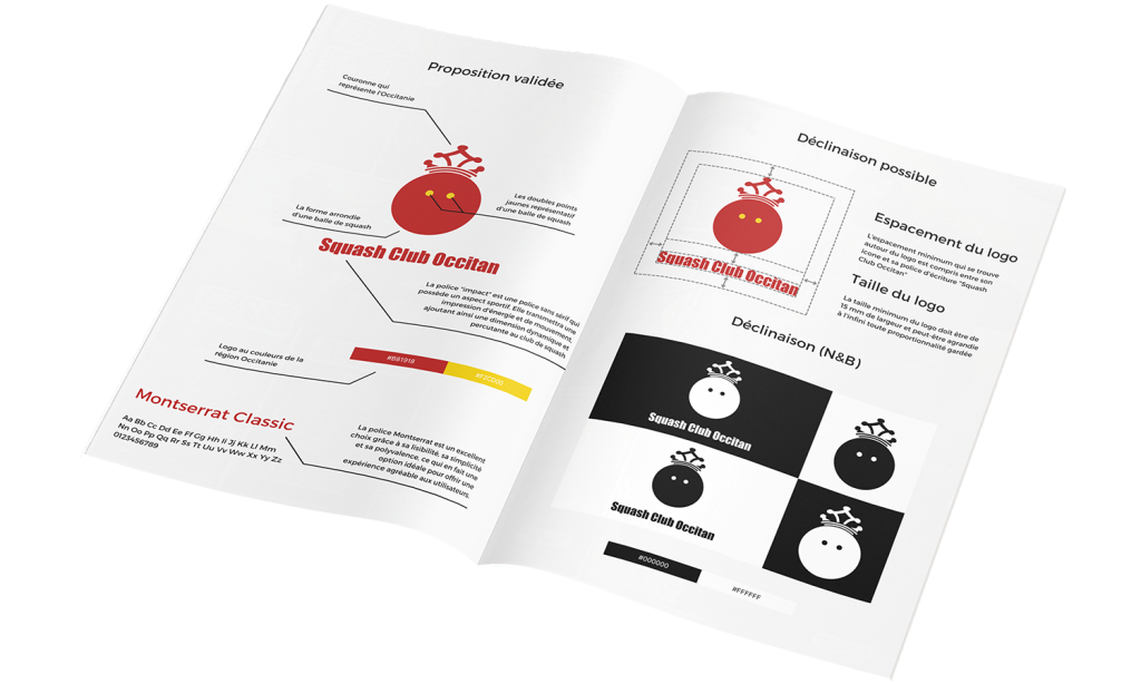 Livre identité visuel projet